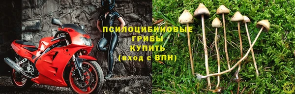 гашишное масло Дмитриев
