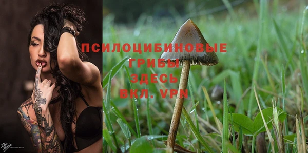 спайс Дмитров
